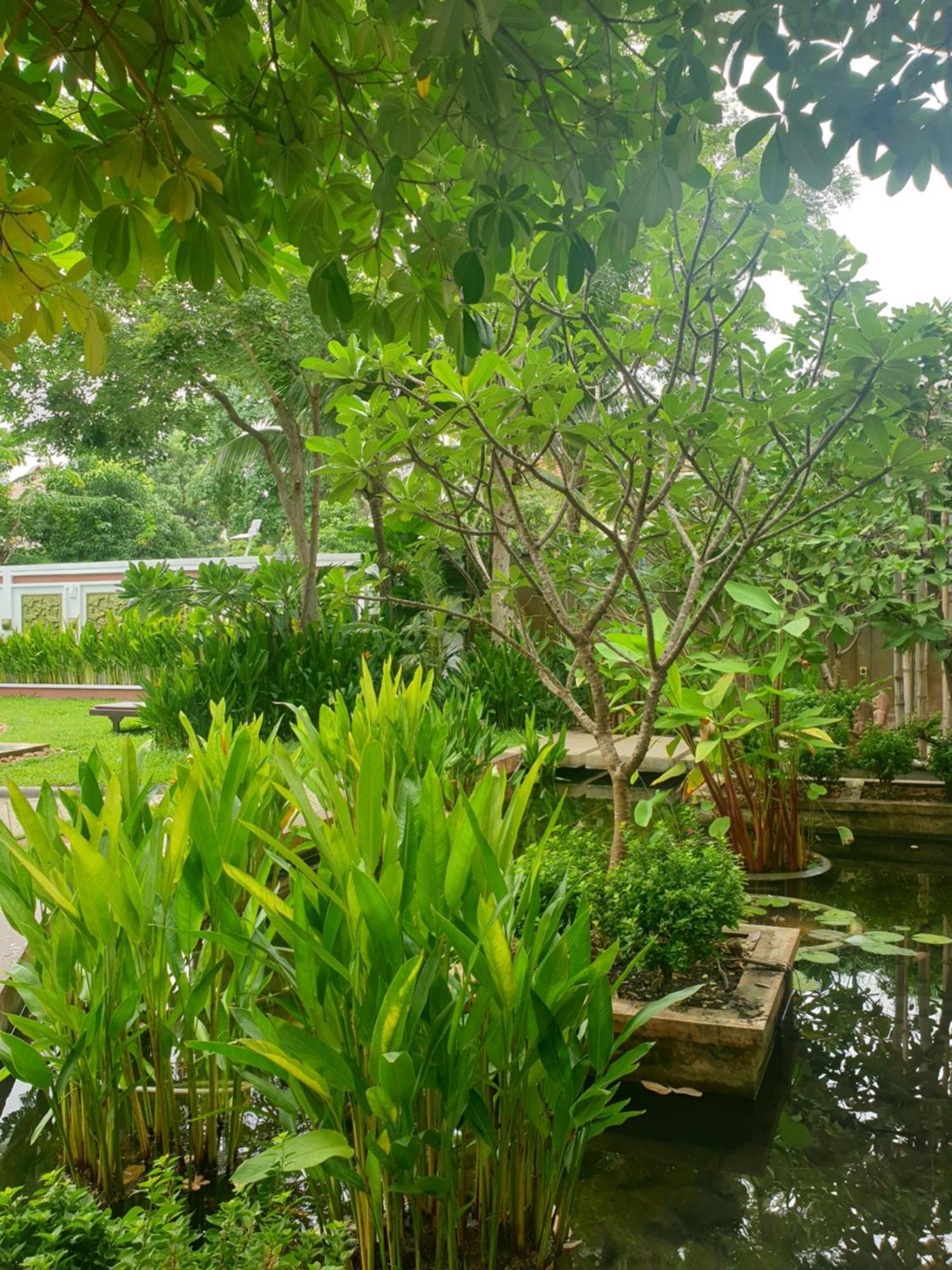 Bamboo Retreat Villa 시엠리아프 외부 사진